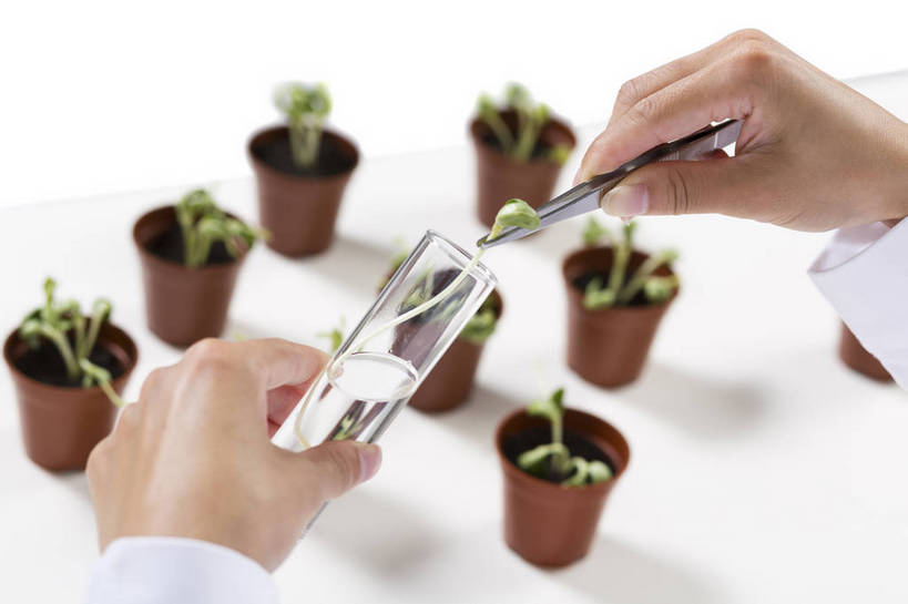 东方人,中年人,手,药剂师,科学家,横图,彩色,室内,特写,白天,抠图,白色背景,侧面,成功,机器,实验,研发,科技,植物,北京,中国,仅一个人,研究,科学,图片,实验室,美丽,设备,健康,机械,成熟,活力,自信,摄影,优雅,科研,培育,化验,检验,精明,化学家,试验,年轻女性,女人,女性,亚洲人,中国人,年轻人,科学工作者,半身,影棚拍摄,愉快,bj174