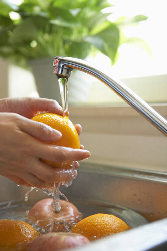 成年人,手,一个人,家庭,竖图,室内,特写,白天,侧面,水,植物,苹果,柑橘,水果,雕塑,北京,中国,亚洲,握,准备,朦胧,模糊,艺术,装饰,雕刻,雕像,盆栽,水槽,水龙头,房屋,公寓,食品,盆景,干净,饮食,绿色,自然,工艺品,碗,站着,休闲,健康,温暖,温馨,一家人,握着,摄影,生长,成长,纪念,美术,和睦,清新,主题,忙碌,陈列,东亚,健康食物,功能,美学,柑桔,年轻女性,女人,女性,中国人,年轻人,橘子,桔子,烹调,清洗,洗涤,彩图,大红蜜橘,大红袍,红橘,黄橘,宽皮橘,融洽,bj175