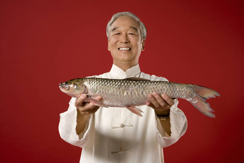 东方人,成年人,老年人,一个人,微笑,横图,室内,正面,幸福,运气,骄傲,鲤鱼,北京,中国,亚洲,仅一个男性,仅一个人,握,黄色背景,庆祝,鱼,注视,传统,一只,红色,观察,看,手势,站着,仅一个老年男性,握着,财富,摄影,观看,察看,关注,中国文化,典礼,东亚,繁荣,炫耀,老年男性,男人,男性,亚洲人,中国人,半身,彩图,影棚拍摄,传统服装,唐装,打手势,bj175