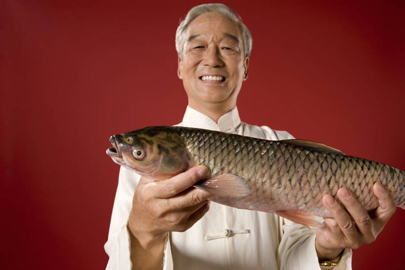 东方人,成年人,老年人,一个人,微笑,横图,室内,正面,运气,骄傲,鲤鱼,北京,中国,亚洲,仅一个男性,仅一个人,握,黄色背景,庆祝,鱼,注视,传统,一只,红色,观察,看,手势,站着,仅一个老年男性,健康,放松,握着,财富,摄影,观看,察看,愉悦,关注,中国文化,东亚,健康食物,繁荣,炫耀,老年男性,男人,男性,亚洲人,中国人,半身,彩图,影棚拍摄,传统服装,唐装,打手势,bj175