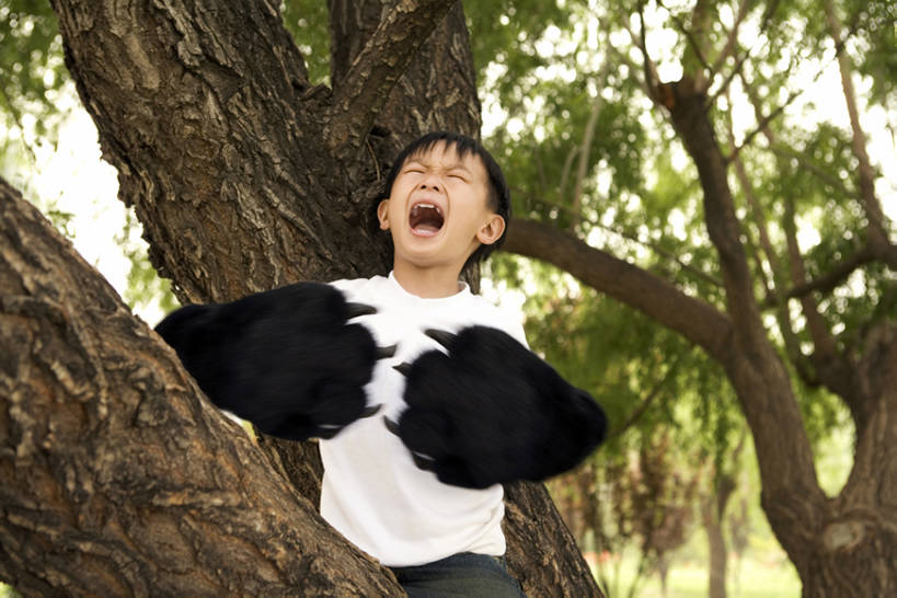 东方人,儿童,一个人,公园,站,攀登,横图,室外,白天,正面,仰视,旅游,度假,纯洁,美景,熊,北京,中国,亚洲,仅一个男性,仅一个人,生气,景观,爪子,半空,玩,大喊,休闲装,娱乐,树,树干,小孩,白色,自然,站着,仅一个小孩,享受,休闲,景色,放松,活力,可爱,童年,童趣,无辜,摄影,生长,爪,愉悦,自然风光,进攻,嚎叫,梦想,想象,童真,东亚,烂漫,无邪,天真,男孩,男人,男性,亚洲人,中国人,孩子,休闲活动,站立,半身,彩图,低角度拍摄,装扮,男生,bj175