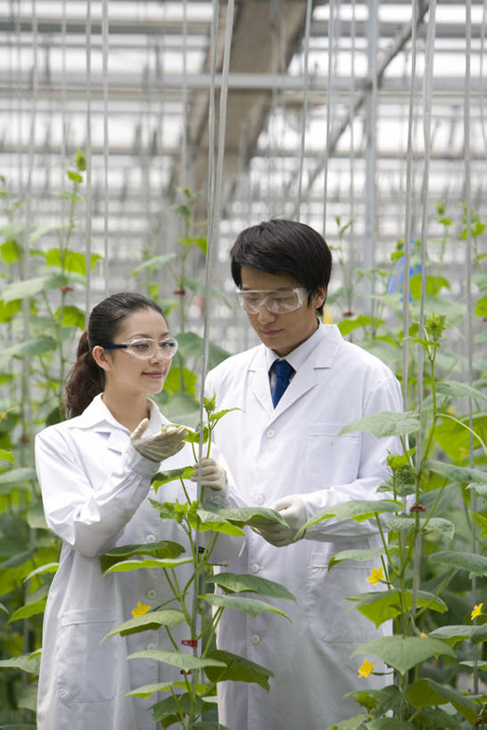 东方人,两个人,科学家,菜园,农场,微笑,竖图,白天,正面,快乐,幸福,智慧,农业,技术,北京,中国,亚洲,种植,检查,研究,工作,分析,科学,领带,温室,现代,夏天,摄影,生长,技巧,护目镜,手艺,防护镜,东亚,实验服,科学实验,技能,技艺,植物学家,男人,男性,年轻男性,年轻女性,女人,女性,亚洲人,中国人,年轻人,技术员,彩图,妙技,本领,bj175