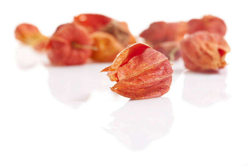 无人,横图,特写,静物,北京,中国,亚洲,药,干燥,食品,草药,饮食,饮料,干花,摄影,有机食品,影棚,多样,医疗,中国文化,摄影棚,营养品,中医,东亚,健康食物,锦灯笼,彩图,影棚拍摄,拍摄,传统文化,bj175