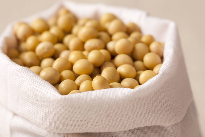 无人,横图,特写,豆,静物,许多,干燥,食品,很多,饮食,素食,清新,健康食物,彩图,bj175