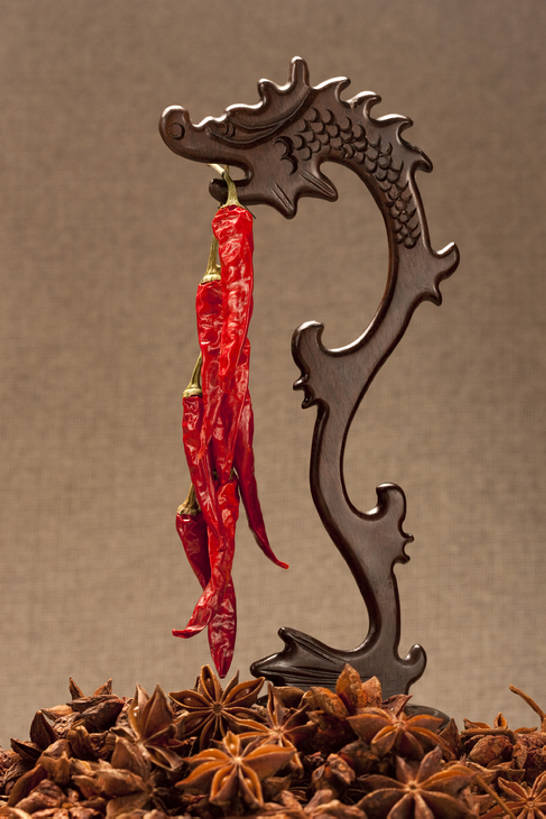 无人,竖图,特写,留白,成功,辣椒,静物,吊挂,悬挂,干燥,龙,调味,香料,佐料,食品,热,挂,饮食,红色,茴香,八角,八角茴香,大茴香,高贵,图腾,传说,八月珠,舶茴香,大料,作料,祥瑞,灵兽,权势,尊荣,幸运,红辣椒,彩图,bj175