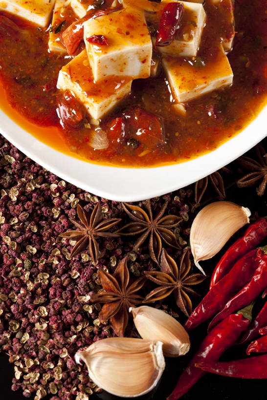 豆腐,无人,竖图,俯视,特写,辣椒,静物,中国,亚洲,黑色背景,调味,香料,佐料,美味,食品,传统,麻婆豆腐,饮食,盘子,茴香,摄影,八角,八角茴香,大茴香,膳食,中国文化,东亚,主菜,八月珠,舶茴香,大料,作料,四川菜,大蒜,彩图,高角度拍摄,传统文化,麻椒,成分,bj175