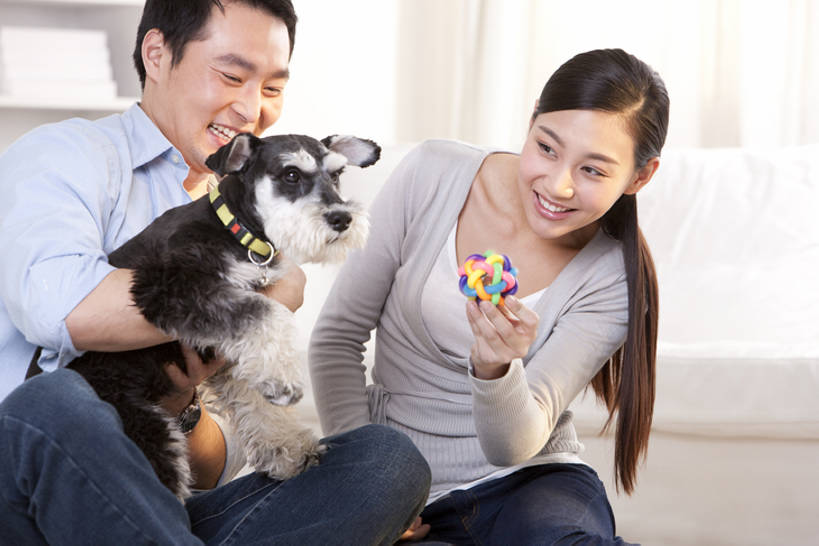 成年人,中年人,两个人,家庭,夫妻,家,客厅,坐,笑,微笑,露齿笑,横图,室内,正面,爱情,游戏,快乐,幸福,纯洁,宠物,狗,玩具,北京,中国,亚洲,梗犬,浪漫,玩,休闲装,娱乐,苏格兰梗,亚伯丁梗,一只,动物,休闲,健康,温暖,温馨,一家人,恩爱,可爱,乐趣,童年,童趣,搭,恋人,摄影,生活方式,活动,和睦,起居室,享乐,搭着,发泄,消遣,智力,童真,东亚,东亚人,烂漫,无邪,髯犬,陪同,忠诚,宣泄,陪伴,异性恋,天真,男人,年轻女性,女人,中年男性,亚洲人,中国人,年轻人,夫妇,情侣,休闲活动,犬,玩耍,嬉戏,拥抱,半身,彩图,爱,深情,愉快,伴侣,融洽,伴随,bj175