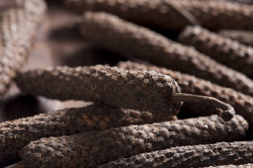 无人,横图,特写,静物,中国,亚洲,许多,干燥,材料,调料,香料,食品,草药,药草,调味品,很多,饮食,健康,摄影,部分,膳食,中医,东亚,荜拨,彩图,影棚拍摄,成分,bj175