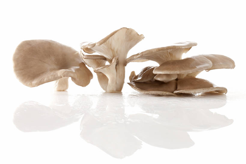 无人,横图,特写,留白,白色背景,农业,蔬菜,静物,北京,亚洲,准备,反射,蘑菇,生食,食品,饮品,饮食,食物,饮料,健康,食用菌,摄影,有机食品,蚝蘑,简单,膳食,可口,清新,东亚,健康食物,纯净,适口,彩图,影棚拍摄,bj175