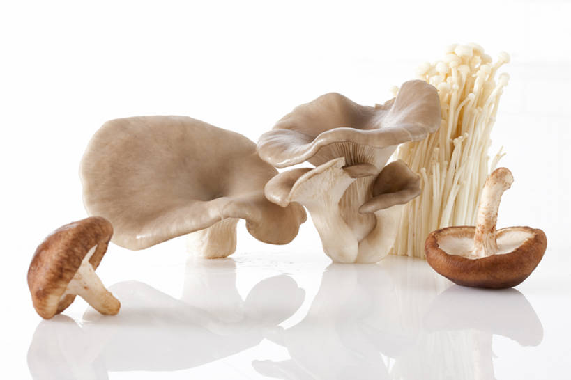 无人,横图,特写,留白,白色背景,农业,蔬菜,静物,北京,亚洲,准备,反射,金针菇,蘑菇,香菇,生食,食品,饮品,饮食,食物,饮料,健康,食用菌,摄影,有机食品,蚝蘑,简单,膳食,可口,清新,东亚,健康食物,纯净,适口,彩图,影棚拍摄,bj175