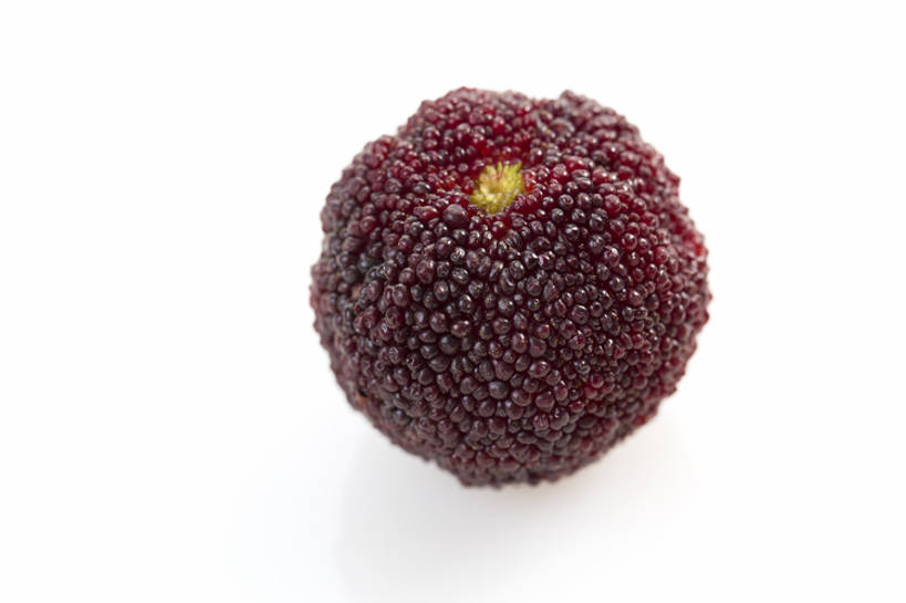 无人,横图,特写,留白,抠图,白色背景,静物,水果,北京,中国,亚洲,美味,食品,饮品,营养,饮食,食物,饮料,一个,红色,健康,素食,成熟,酸,摄影,杨梅,有机食品,单个,维生素,可口,清新,东亚,健康食物,适口,彩图,影棚拍摄,bj175