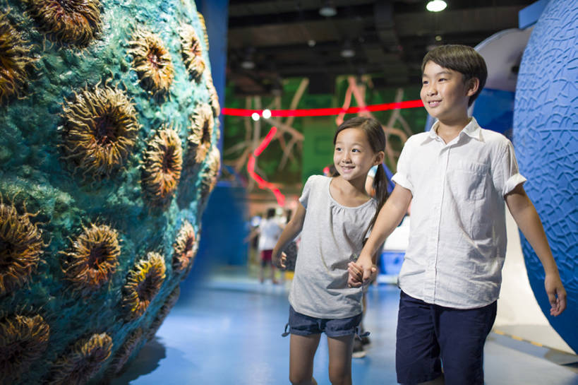 东方人,儿童,两个人,兄弟,姐妹,博物馆,站,笑,微笑,露齿笑,横图,室内,正面,快乐,友谊,幸福,纯洁,北京,中国,亚洲,行人,游客,游人,学习,短裤,并排,科学,首都,教育,玩,休闲装,路人,旅客,小孩,模型,看,站着,休闲,短袖,放松,可爱,乐趣,亲密,童年,童趣,摄影,生长,生活方式,展览,享乐,亲情,拜访,童真,东亚,烂漫,无邪,陪同,中华人民共和国,北京市,京,北平,华北地区,朝阳区,陪伴,过客,无忧无虑,天真,男孩,男人,男性,女孩,亚洲人,中国人,孩子,手牵手,站立,彩图,旅行,欢乐,中国科学技术馆,男生,中国科技馆,好奇心,伴随,bj175