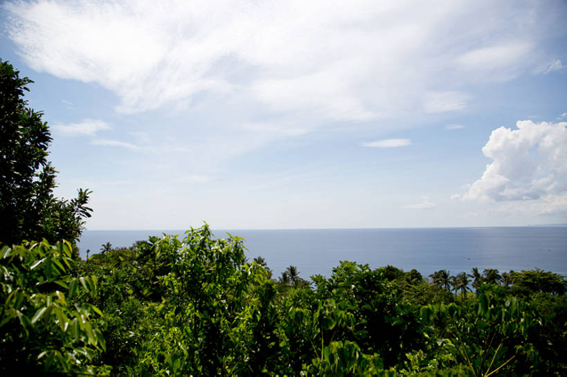 无人,横图,室外,白天,留白,旅游,度假,海洋,美景,水,菲律宾,亚洲,节日,岛,地形,海岸线,景观,水平线,云,娱乐,干净,树,蓝色,绿色,风景,天空,自然,地标建筑,享受,休闲,景色,放松,茂密,摄影,茂盛,宁静,热带气候,自然风光,海景,长滩岛,彩图,旅行,bj175