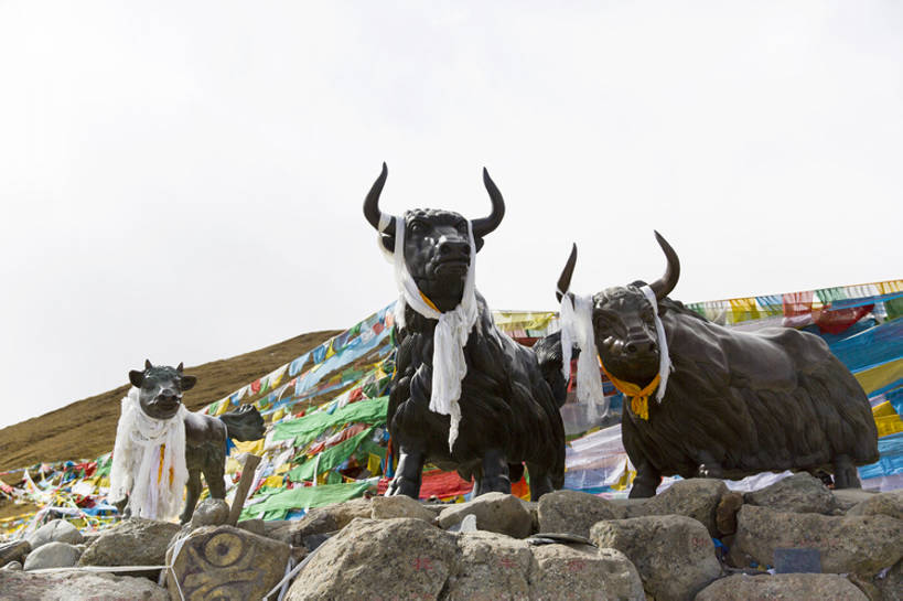 无人,横图,室外,白天,旅游,度假,石头,美景,旗帜,雕塑,中国,亚洲,吊挂,悬挂,雕像,景观,挂,文化,娱乐,传统,西藏,经幡,少数民族,民族,风景,自然,动物,祈祷,享受,休闲,景色,放松,摄影,宗教,佛教,中国文化,自然风光,东亚,西藏自治区,喇嘛教,哈达,青藏高原,米拉山,古代文明,灵性,岩石,牦牛,彩图,旅行,传统文化,中国少数民族,bj175