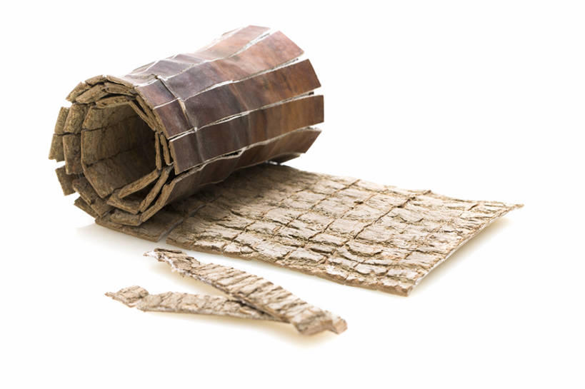 点心,面包,无人,医生,横图,特写,留白,抠图,白色背景,植物,静物,中国,亚洲,切开,药,准备,干燥,材料,食品,面点,草药,药草,吐司,中药,食物,糕点,切,医护人员,医疗人员,健康,摄影,有机食品,法式面包,卷,医疗,中国文化,药材,中草药,干的,剖面,中医,吐司面包,东亚,切面,中药材,本草,大夫,彩图,影棚拍摄,多士,听型面包,杜仲,传统文化,汉医,成分,bj175