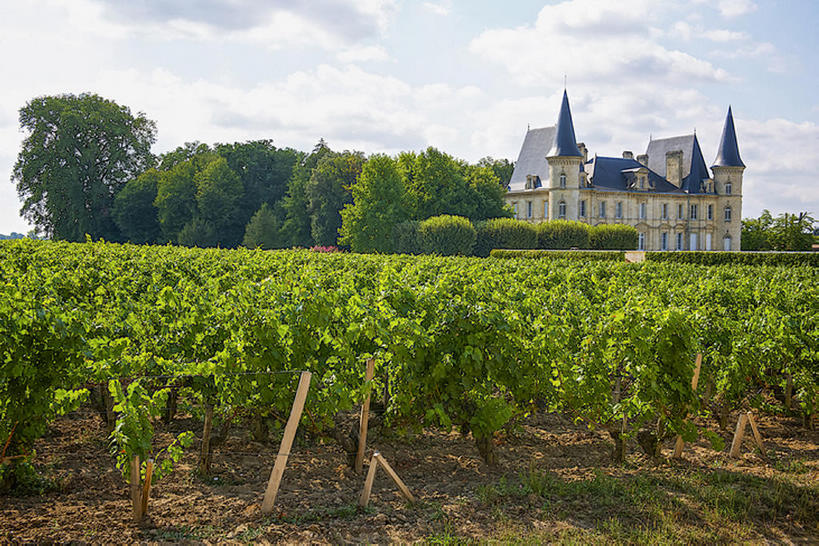 无人,横图,室外,白天,法国,欧洲,葡萄园,建造,西欧,法兰西,法兰西共和国,阿基坦,法兰西第五共和国,亚魁当,阿基坦大区,bj175