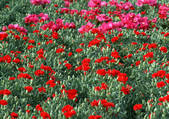 tkf001_106843