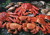 tkf001_108321