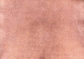 tkf001_108469