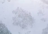 tkf001_109943