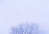 tkf001_109944