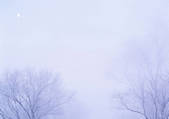 tkf001_109945