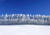tkf001_109981