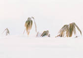 tkf001_110057