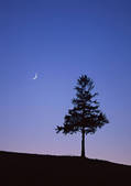 tkf001_110118