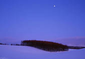 tkf001_110212