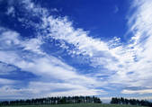 tkf001_110461
