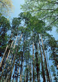 tkf001_111960