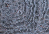 tkf001_115104