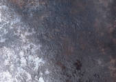 tkf001_115113