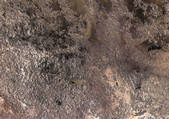 tkf001_115116