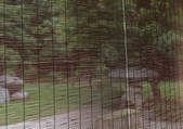 tkf001_115865
