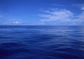 tkf001_116255