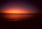 tkf001_117231