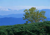 tkf001_120008