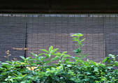 tkf001_121515