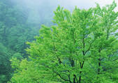 tkf001_123909