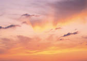 tkf001_123960