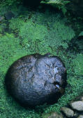tkf001_124025