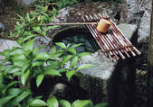 tkf001_124807