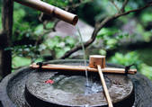tkf001_124809