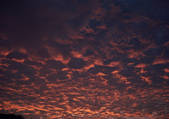 tkf001_127937