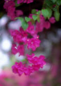 tkf001_132485