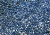 tkf001_133888