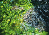 tkf001_133977