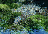 tkf001_134124